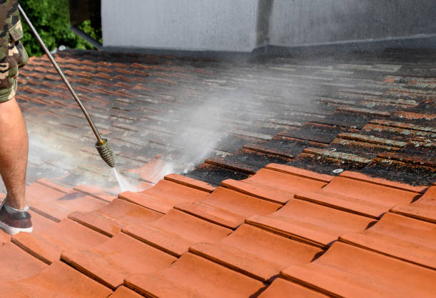 Best Roof Pressure Washing  in Greenwood Lake, NY